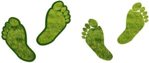 What is your company's carbon footprint?